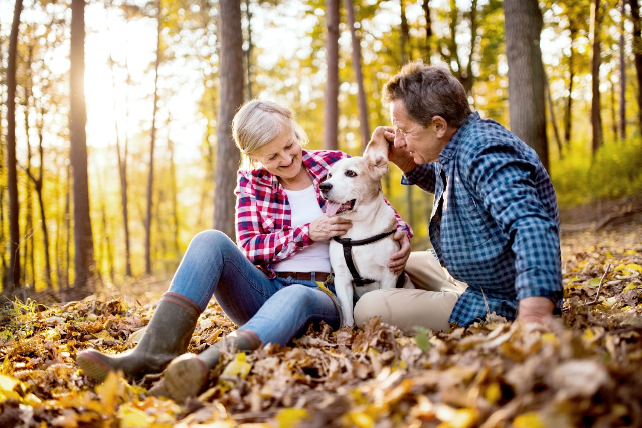 5 Animals with the best hearing | Miracle-Ear